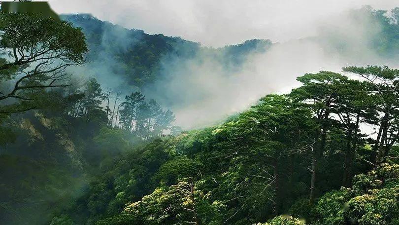 燃烧吧大脑免广告最新版