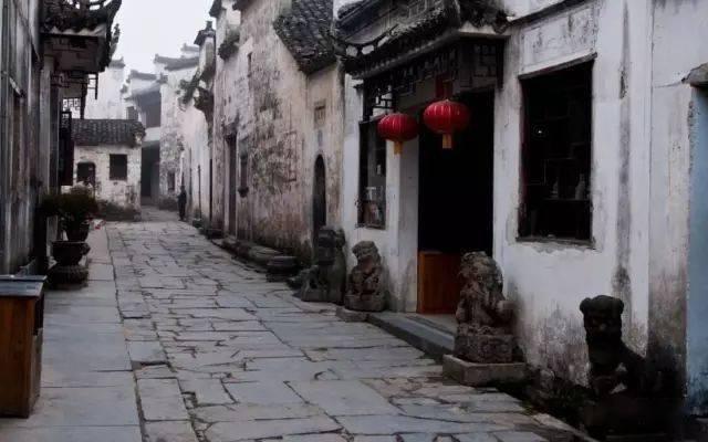 史小坑的爆笑生活11